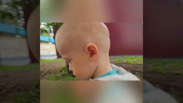 Рома до и после стрижки, 25.08.2026