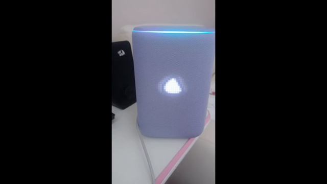 ❄️🥳Влог с Нового года!🥳❄️