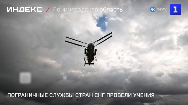 Пограничные службы стран СНГ провели учения