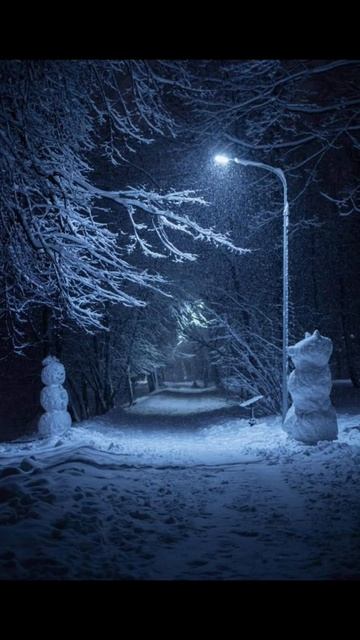 U2:Folio-WINTER HILL