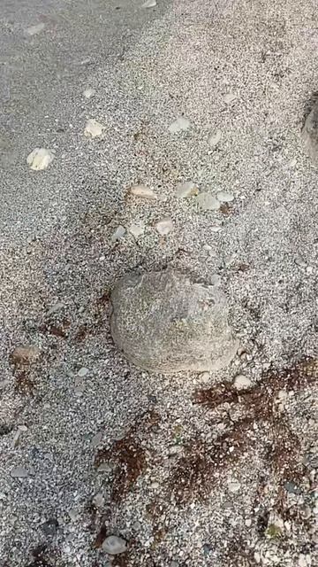 Прекрасное море Каспийское
