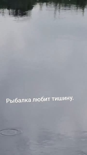Рыбалка любит тишину