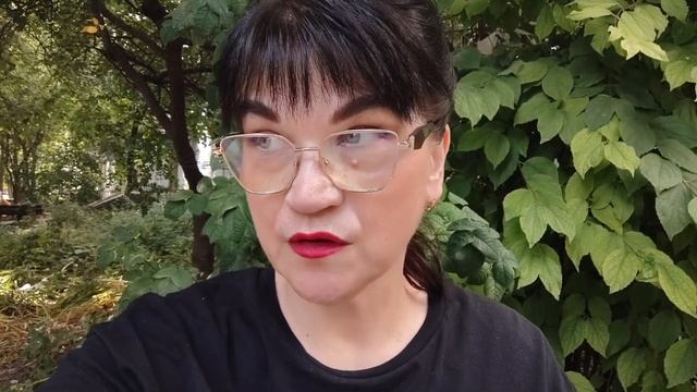 25.08. 2026 г Прогулка, купила мед🍯Краматорск - много раненых😢Бурые (зелёные)🍅по-армянски👍Буся🐱