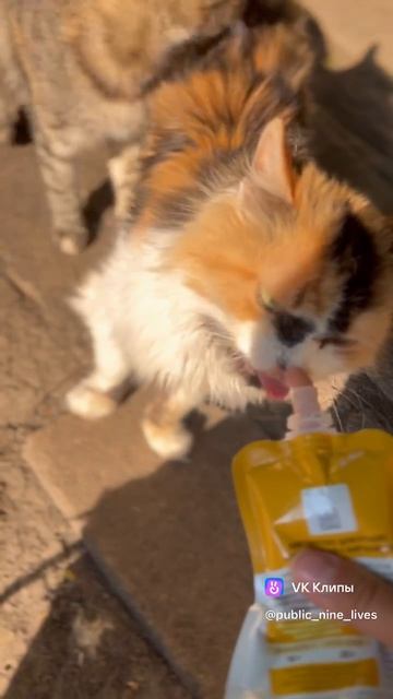 Я не знаю как дожить это летои пережить осеньи самое страшное для нас-это предстоящая зима.  -Рубя