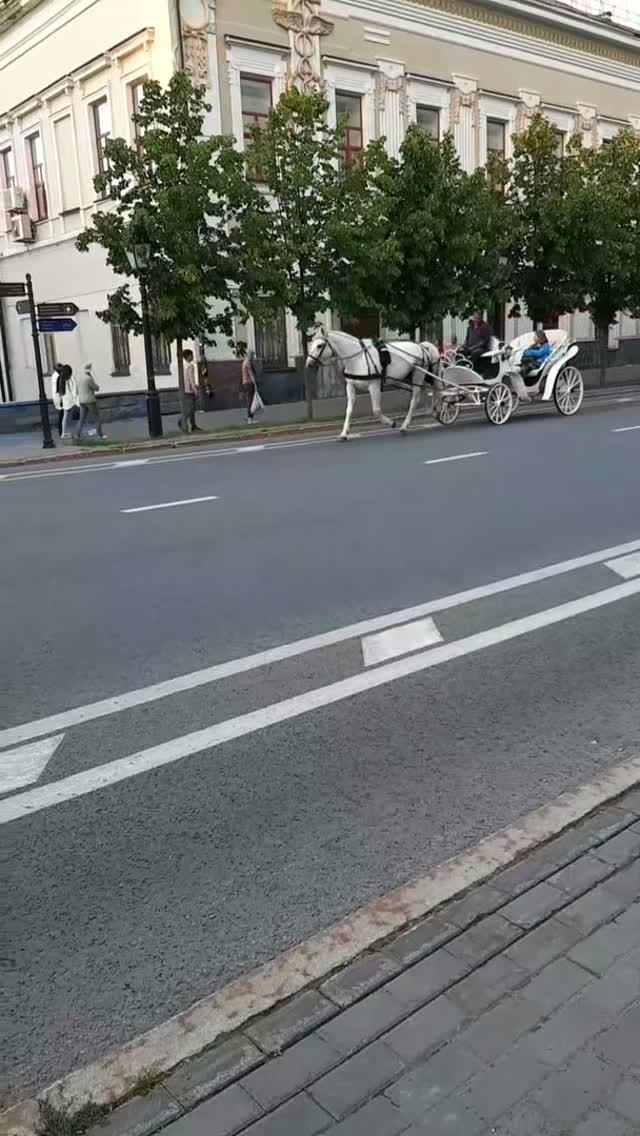 Казань