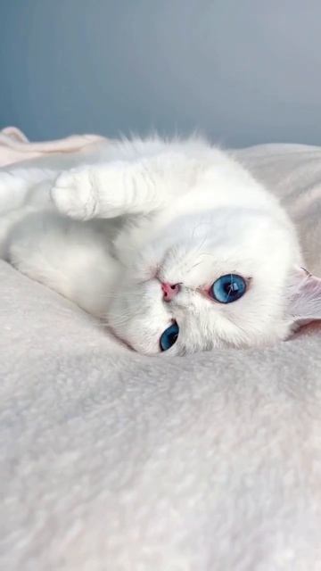 Ухххх какая красота 😍