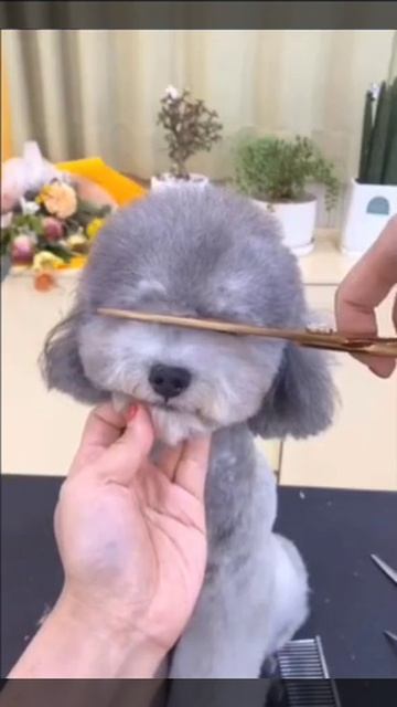 Стал как новенький 😊👍))