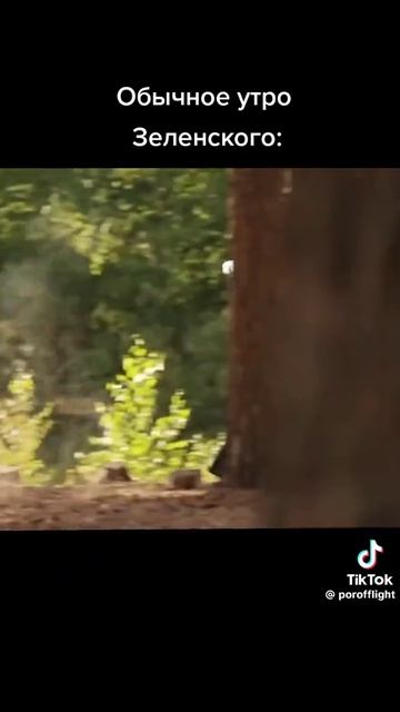 смешное видео