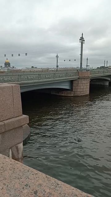 Бассет: Благовещенский мост...