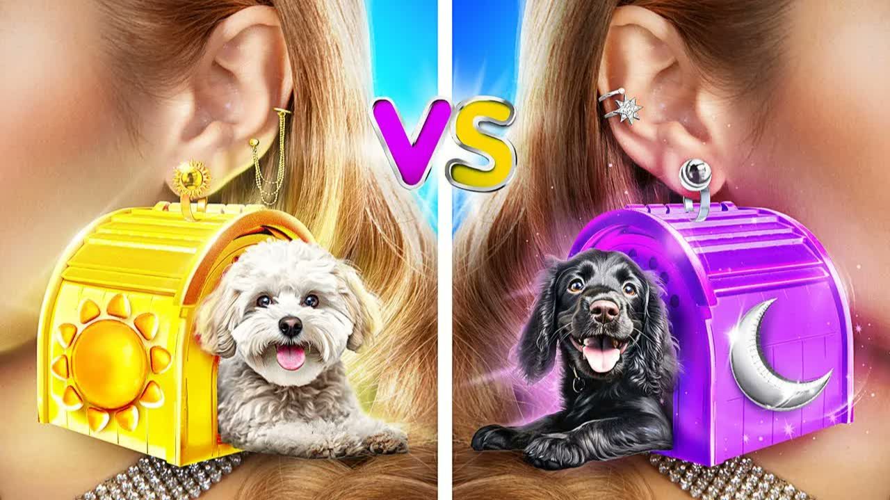 Домики для собак одного цвета челлендж! Девушка День Vs девушка Ночь!