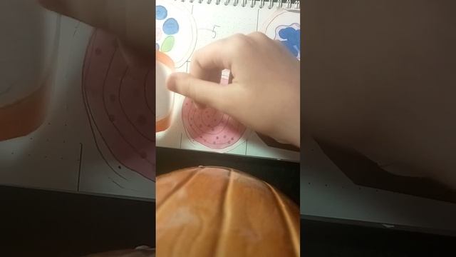 РАСПАКОВКА БУМАЖНЫХ СЮРПРИЗОВ! ПРОСТИТЕ ЗА ДОЛГОЕ ОТСУТСТВИЕ!