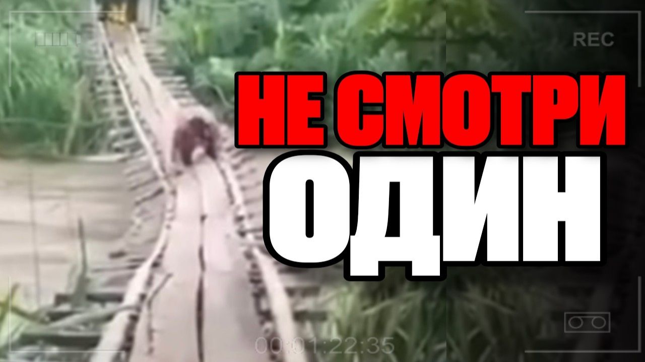 СТРАШНЫЕ ИСТОРИИ ИЗ ИНТЕРНЕТА (КОЛЛЕКЦИЯ