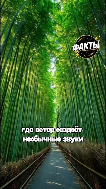 10 фактов часть 58