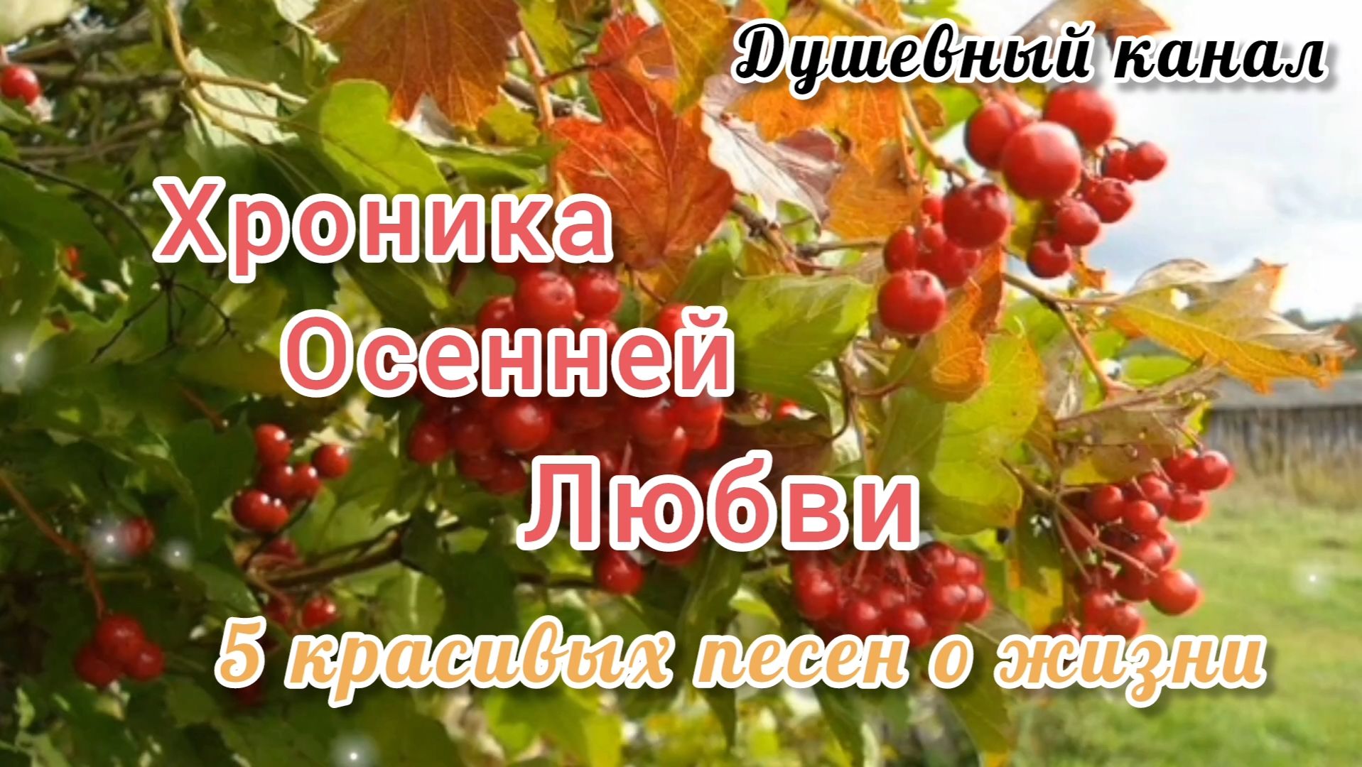 ХРОНИКА ОСЕННЕЙ ЛЮБВИ
