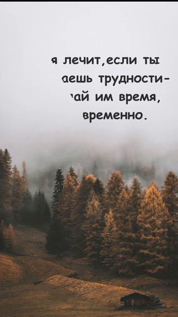 #shorts Цитаты/Психология отношений/ Мотивация/ Мудрые Советы Слова/ Фразы/Мудрые изречения
