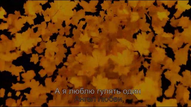 А я люблю гулять один