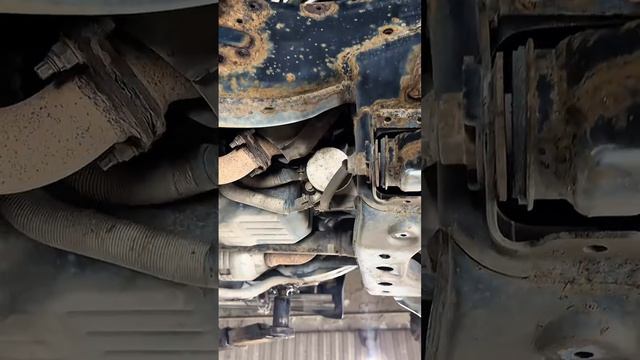 Правда ли, что Toyota меньше подвержены коррозии и могут прослужить без защиты днища долгие годы? 🧐