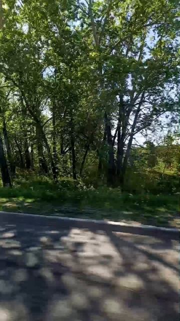 дорога