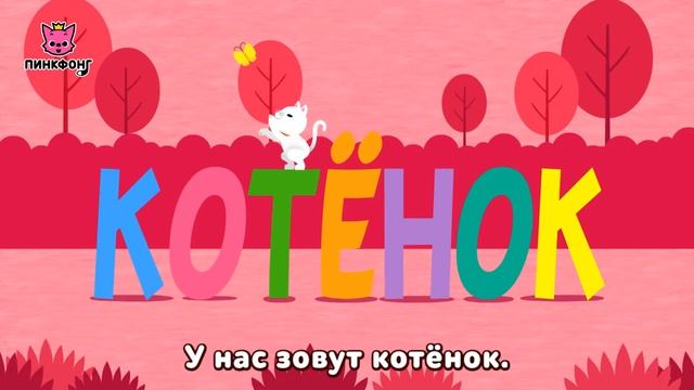 Животные-Малыши | Песни про Животных | Пинкфонг Песни для Детей