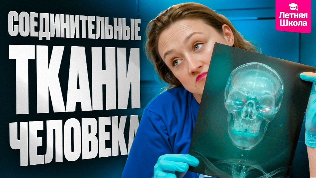 3. Соединительные ткани человека | Stepenin.ru
