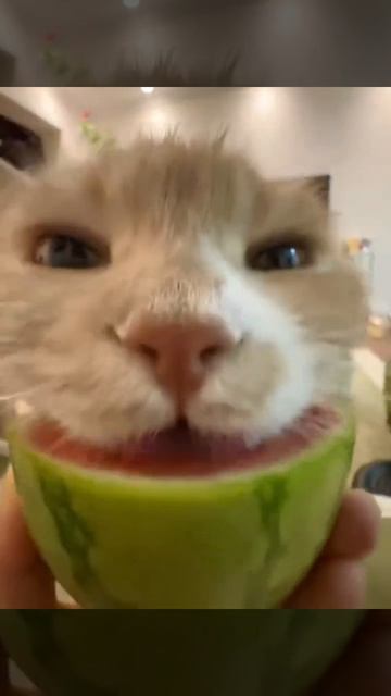MOV_20260825_122918_706