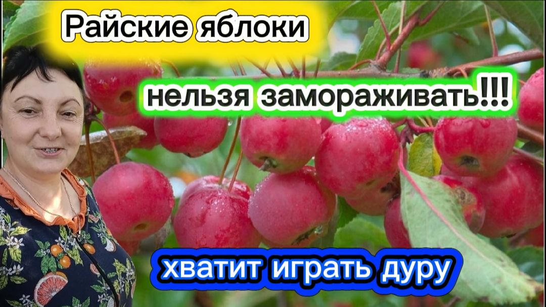 Сельчане хватит притворяться Дурочкой Не порти Ранетки