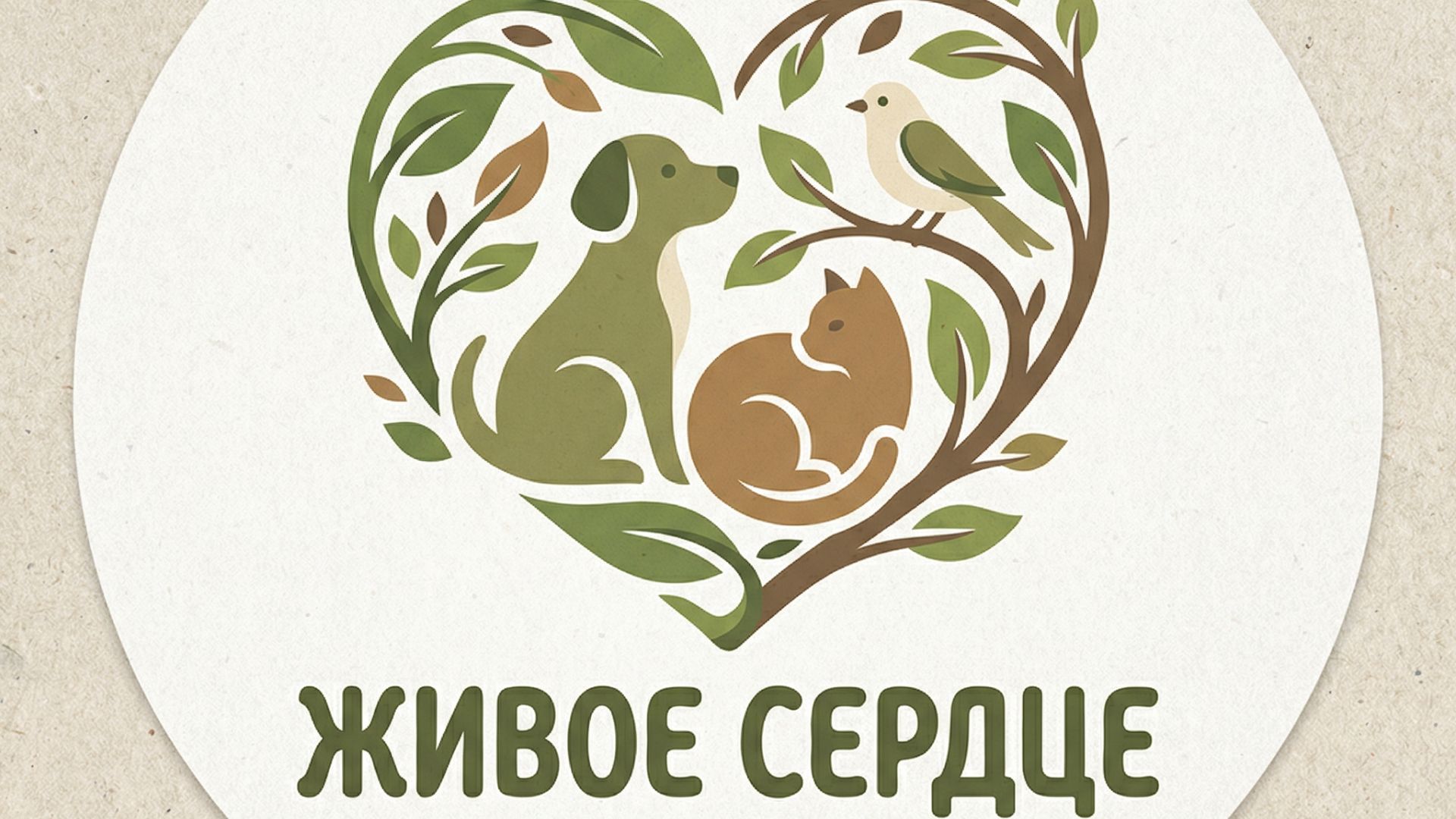 Живое сердце - кто мы и чем занимаемся