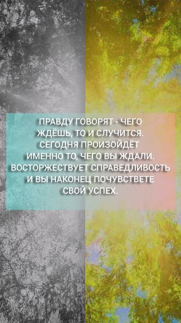 #ЧТО БУДЕТ СЕГОДНЯ🗓