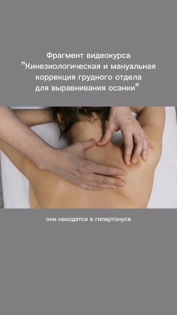 Фрагмент видеокурса 