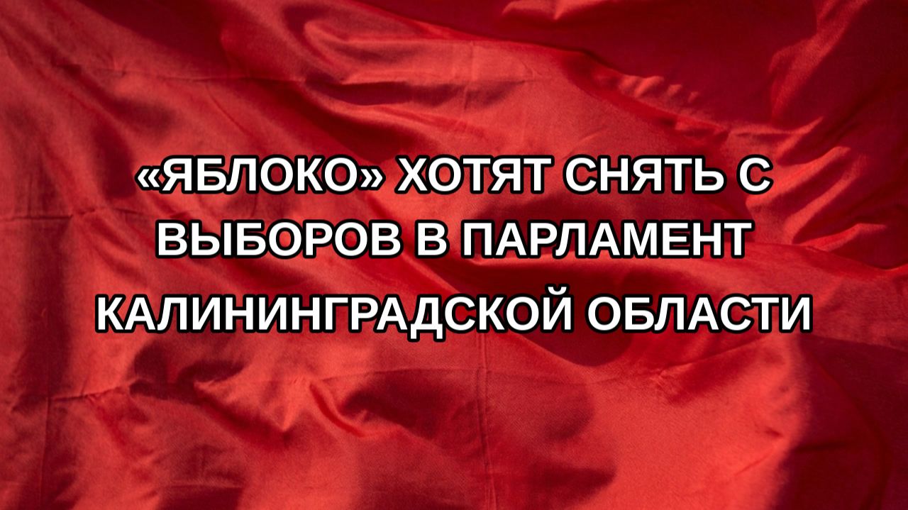 «Яблоко» хотят снять с выборов в парламент Калининградской области