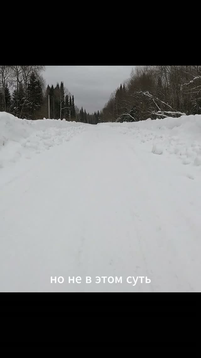 Тихий буран