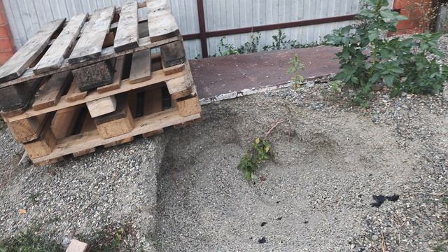 Дом костёр красота