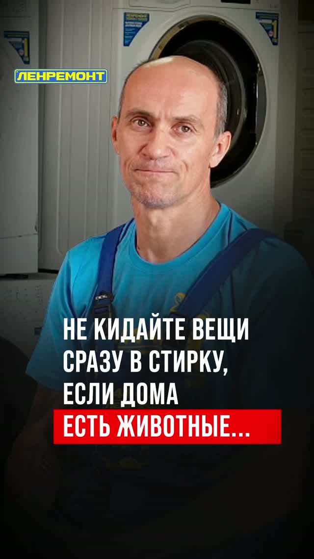 Шерсть убивает стиральную машину? Как правильно стирать вещи после котов и собак?
