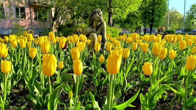 Клумба 04.04 - 16.05.26