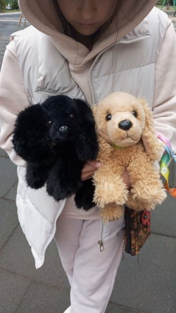 подпишитесь на канал моей подруги 🎀🐶пдб влог🐶🎀