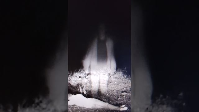 что за жуть. ужасы