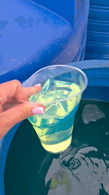 Вот как выглядит качественное топливо! ⛽ Проверяем вместе с Топливной Компанией Галактика