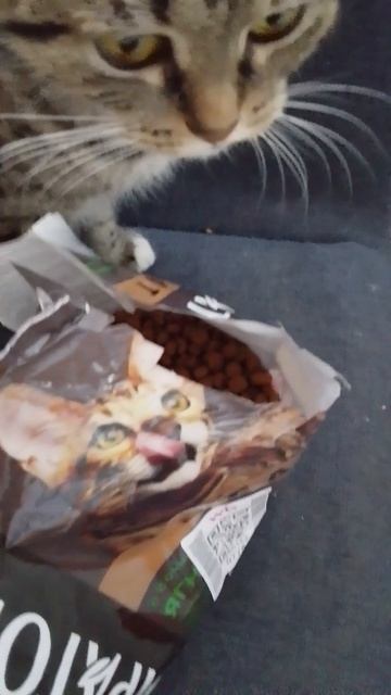 какая милота😅