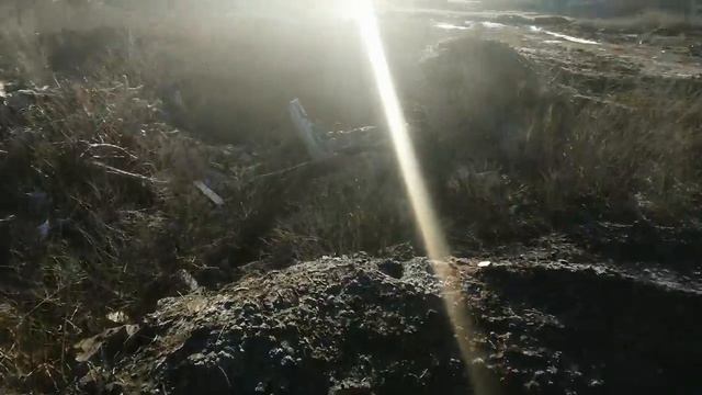 Мусорная свалка на участке Погодина Н.А.