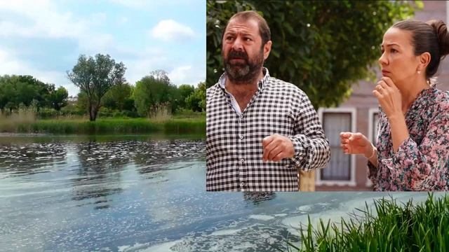 Моя прекрасная семья 16 серия на русском языке. Новый турецкий сериал