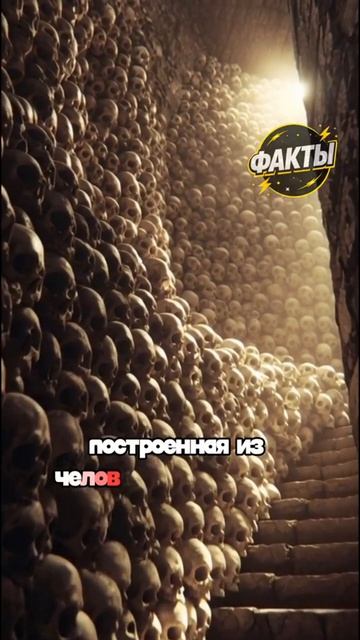 10 фактов часть 49