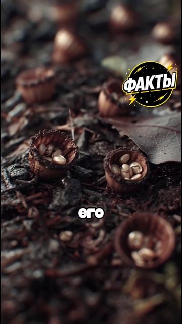 10 фактов часть 92