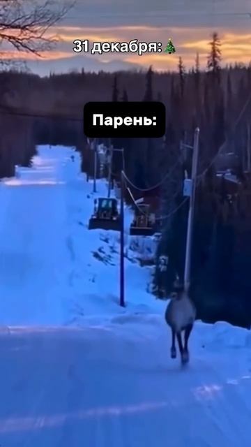 Ставьте + в комментариях для кого жизненно😂👐🏼 Zetter брала на Озоне