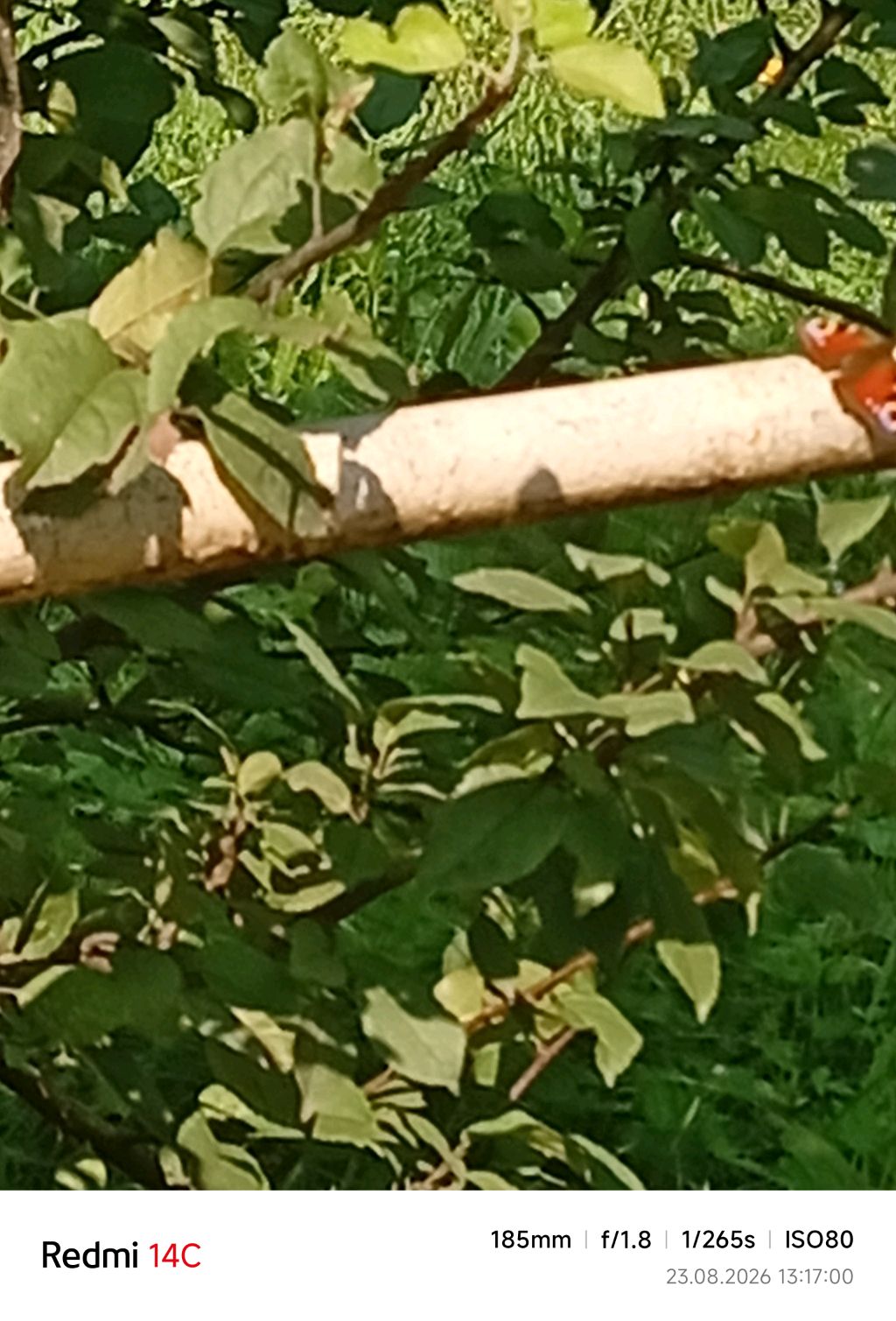 опоп