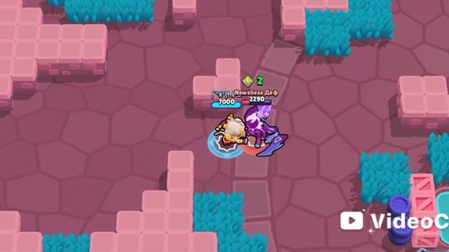 THE BEST TEAM