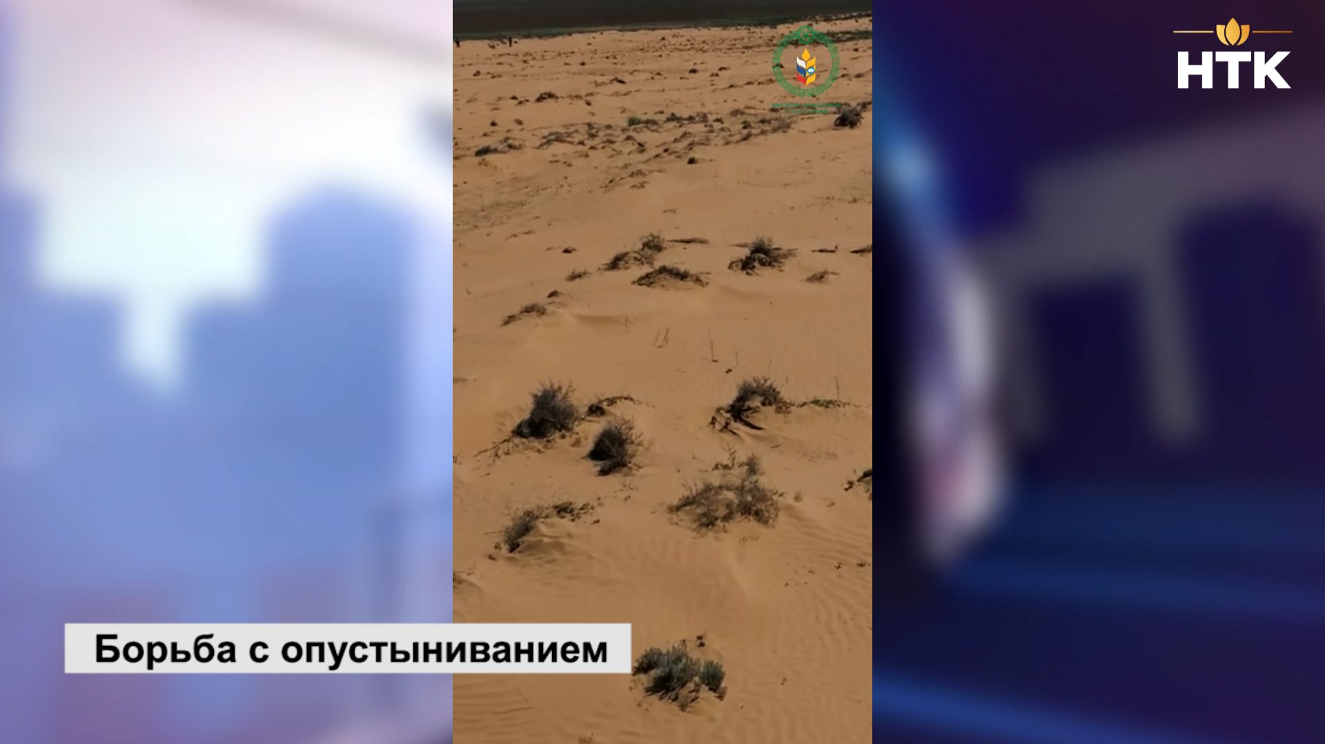 В Калмыкии на четверть сократилась площадь открытых песков