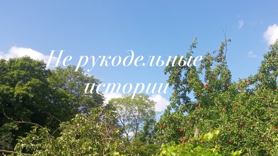 Активные выходные//лето в баночках