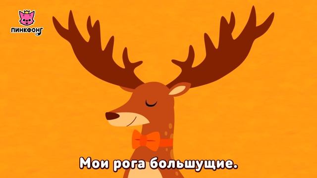 Стань Моей Женой | Песни про Животных | Пинкфонг Песни для Детей