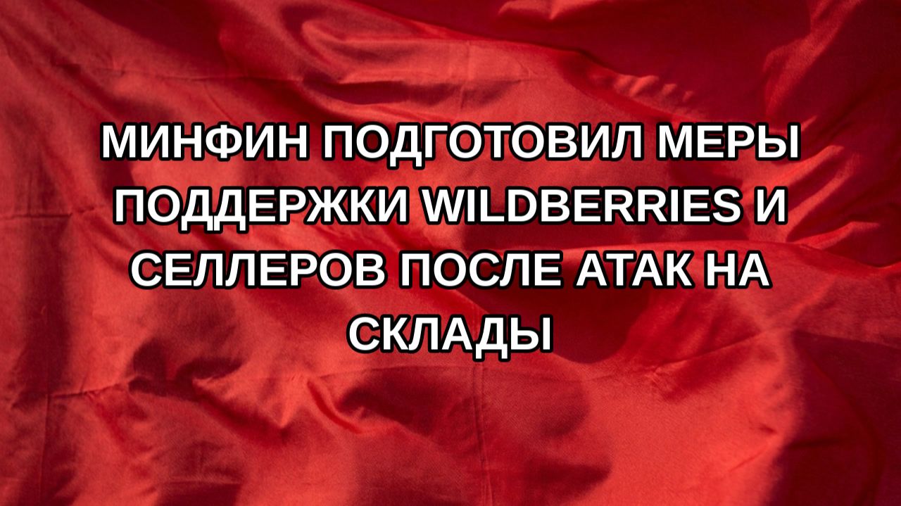 Минфин подготовил меры поддержки Wildberries и селлеров после атак на склады