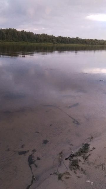 р Ока.Вечер.Вода убывает.25.08.2026г.